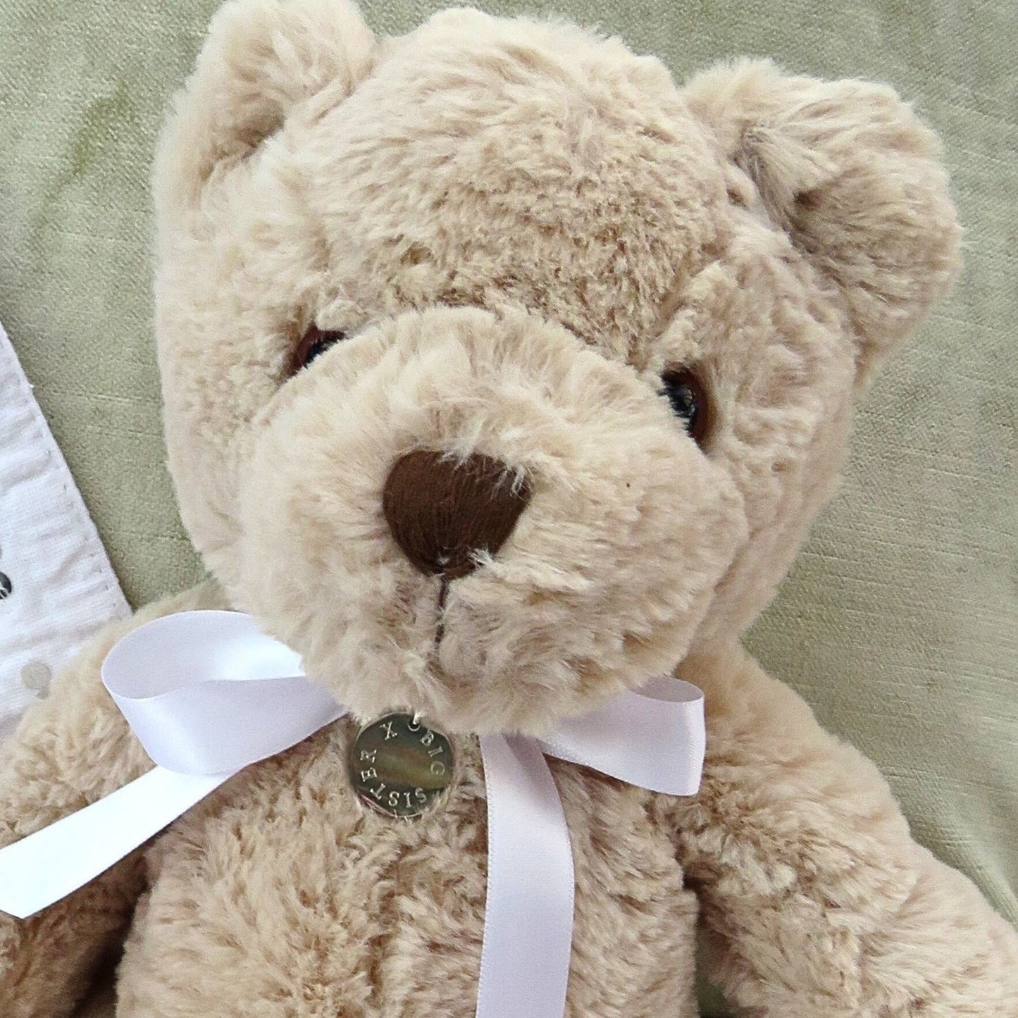 Personalised Teddy Bear with a silver edge disc and white ribbon, featuring soft fur and a friendly expression.